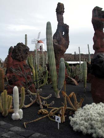 Kaktusgarten2